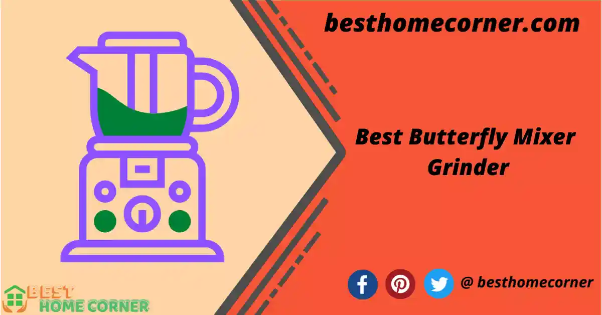 best-butterfly-mixer-ginder